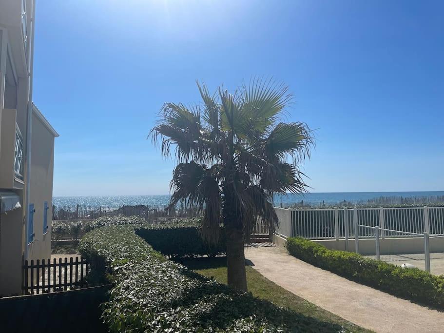 Appart Frontignan Sur La Plage, Piscine, Wifi, Tv, Netflix Exterior foto
